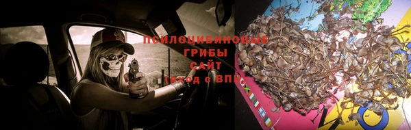 2c-b Арсеньев