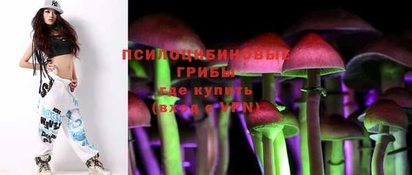 2c-b Арсеньев