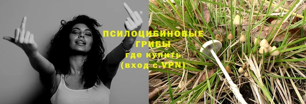 крисы Алексеевка
