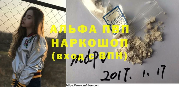 индика Баксан